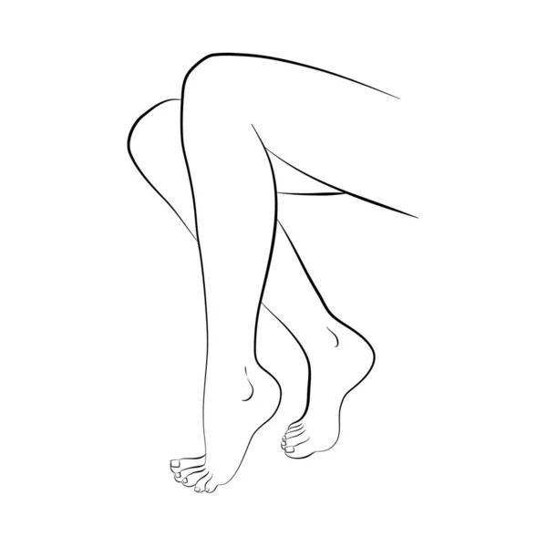 Vector Illustration Woman Legs Vettoriale Stock