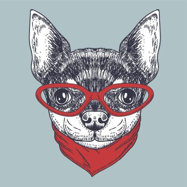 Chihuahua köpek eli şirketiniz için kırmızı gözlük ve bandana yaka giyerek çizilmiş.