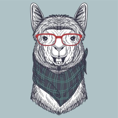 Lama el, şirketiniz için kırmızı gözlük ve boyun bandanası takıyor.