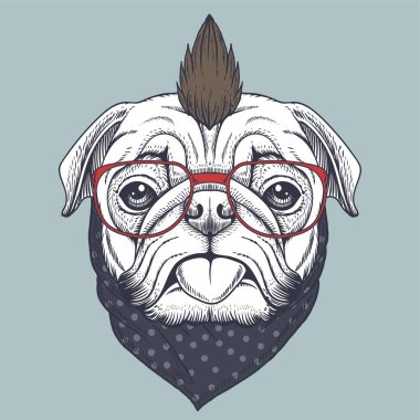Pug dog punk eli kırmızı gözlük takıyor ve bandana polka nokta şirketiniz veya markanız için