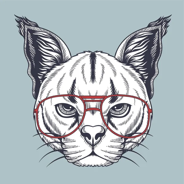 为你的公司或品牌画一只头戴红色眼镜的卡拉卡尔野猫手 — 图库矢量图片