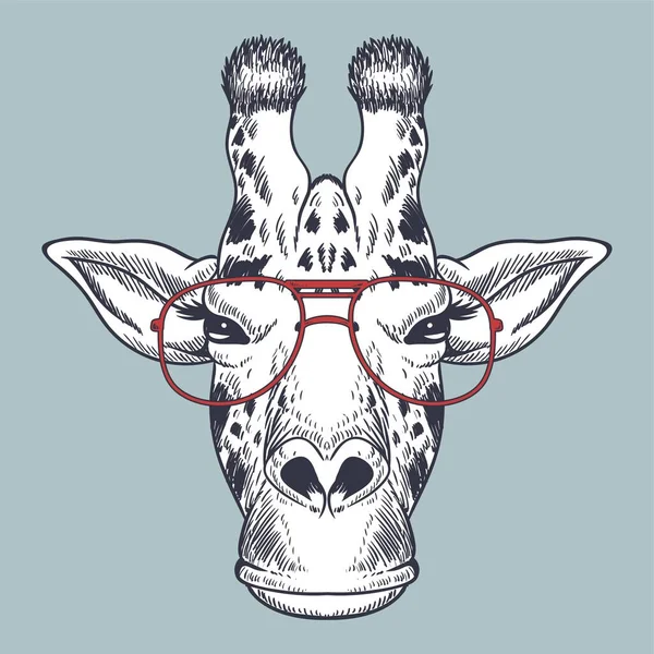 Giraffen Handritad Med Röda Glasögon För Ditt Företag Eller Varumärke — Stock vektor