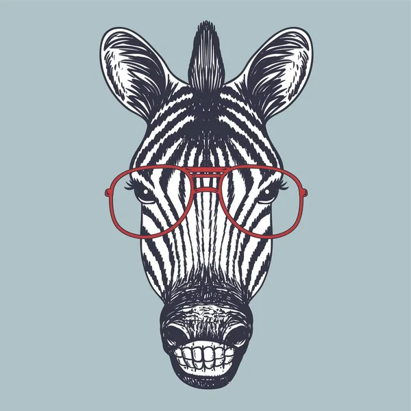 Zebra Tersenyum Tangan Digambar Mengenakan Kacamata Merah Untuk Perusahaan Anda - Stok Vektor