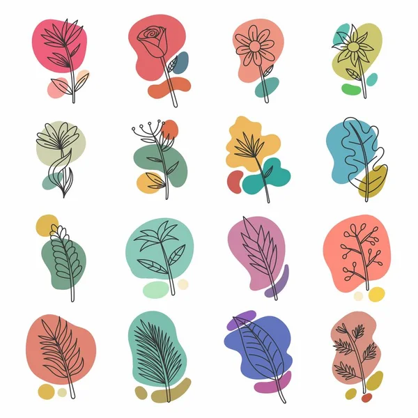 Floral Plants Boho Aesthetic Collection Vector Illustration — Archivo Imágenes Vectoriales