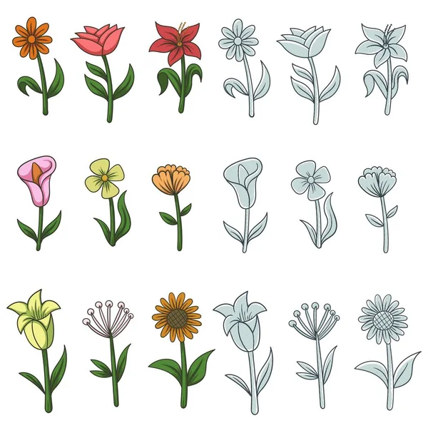 Квіткові Елементи Природи Прикраса Векторні Ілюстрації — стоковий вектор