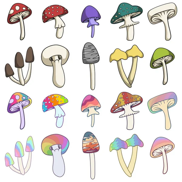 Mushroom Set Collection Vector Illustration — ストックベクタ