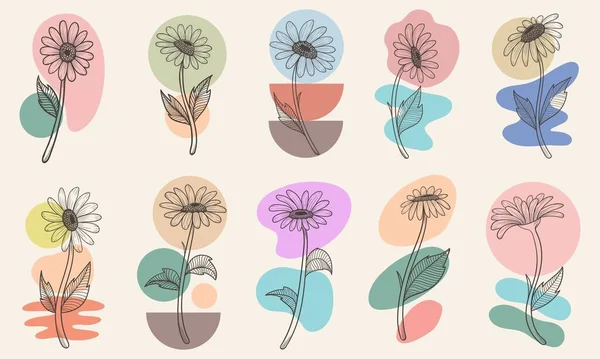Flower Boho Aesthetic Elements Collection Vector Illustration — Vettoriale Stock