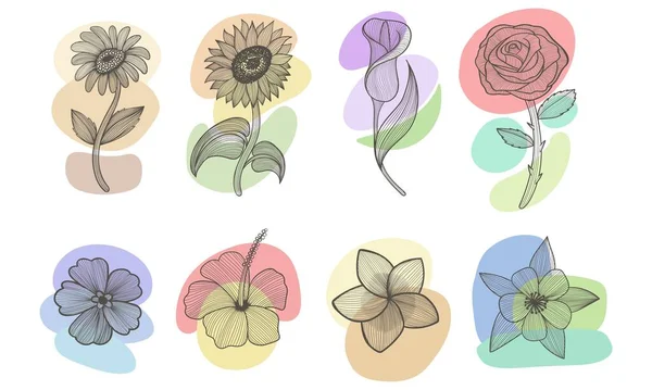 Flower Line Art Boho Aesthetic Elements Set Vector Illustration — ストックベクタ