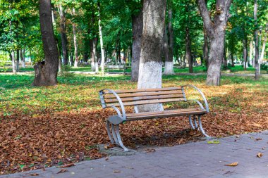 Altın yapraklarla çevrili bir bank, Roma Parkı, Neamt, Romanya