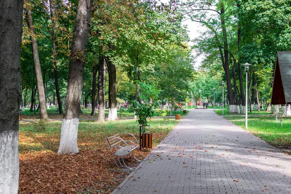 Herfst Het Park Roman Park Neamt Roemenië — Stockfoto