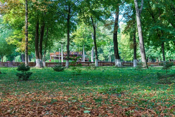 Podzim Parku Roman Park Neamt Rumunsko — Stock fotografie