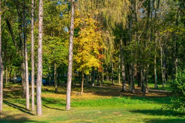 Romanya 'nın Miclauseni Şatosu' ndan sonbahar orman manzarası