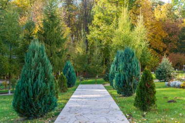 Romanya 'nın Miclauseni Şatosu' ndan sonbahar bahçe yolu