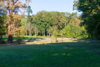 Renkli sonbahar ağaçları, Miclauseni Şatosu, Romanya