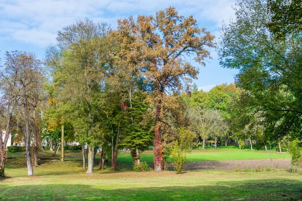 Coloridos Árboles Otoño Castillo Miclauseni Rumania — Foto de Stock