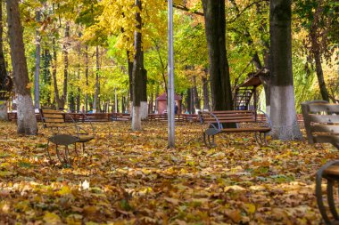 Autumn in the Roman Park with colored leaves, Romania