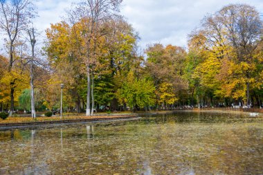 The lake from the Roman park in the autumn surrounded by colored trees, Romania