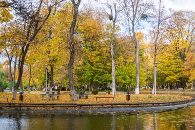 The lake from the Roman park in the autumn surrounded by colored trees, Romania