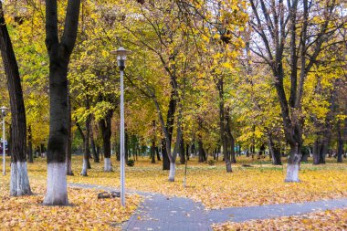 A path from the Roman Park surrounded by colored leaves, Romania