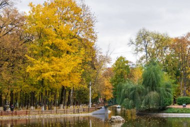 The lake from the Roman park in the autumn surrounded by colored trees, Romania