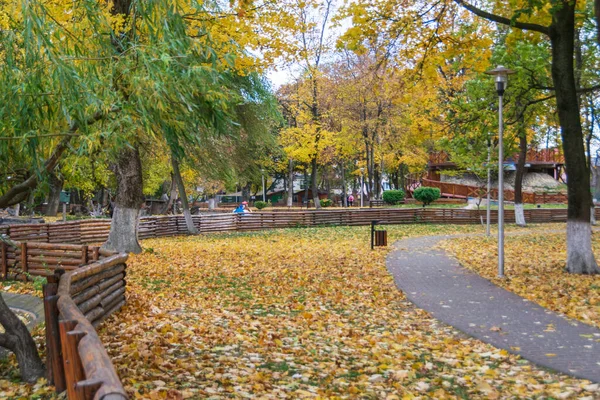 Path Roman Park Surrounded Colored Leaves Romania — Stockfoto