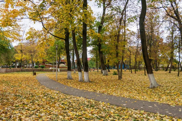 Path Roman Park Surrounded Colored Leaves Romania — Stockfoto
