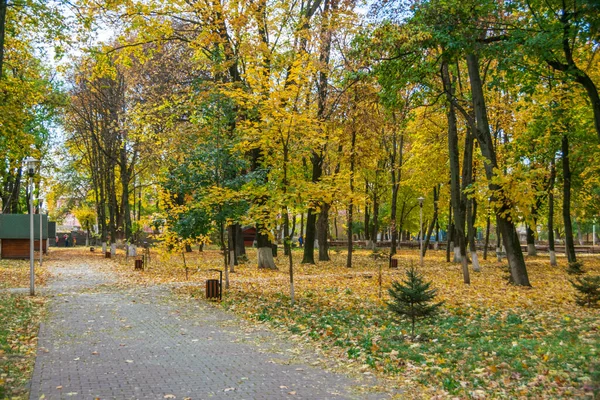 Path Roman Park Surrounded Colored Leaves Romania — стокове фото