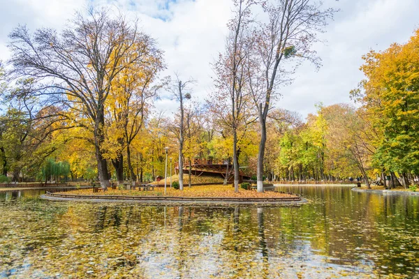 Lake Roman Park Autumn Surrounded Colored Trees Romania — Photo