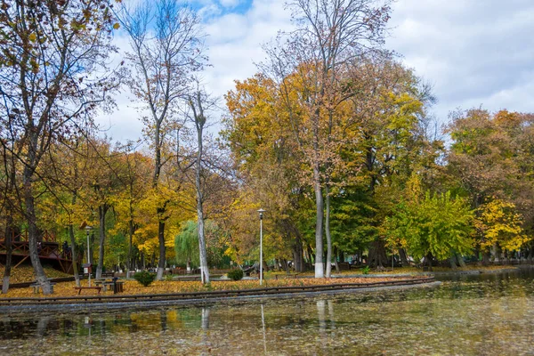 Lac Parc Romain Automne Entouré Arbres Colorés Roumanie — Photo