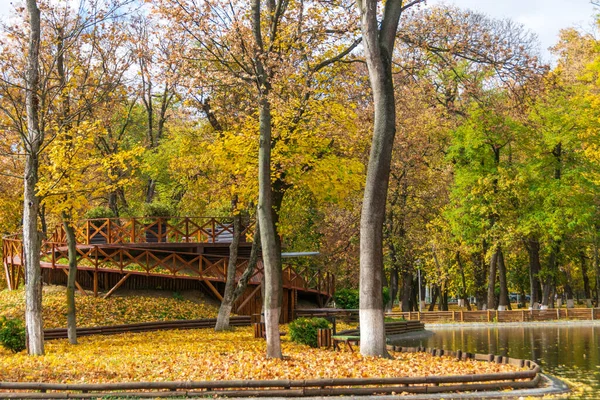 Lake Roman Park Autumn Surrounded Colored Trees Romania — Fotografia de Stock