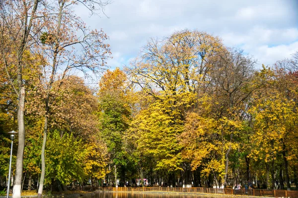 Autumn Roman Park Colored Leaves Romania — Stockfoto
