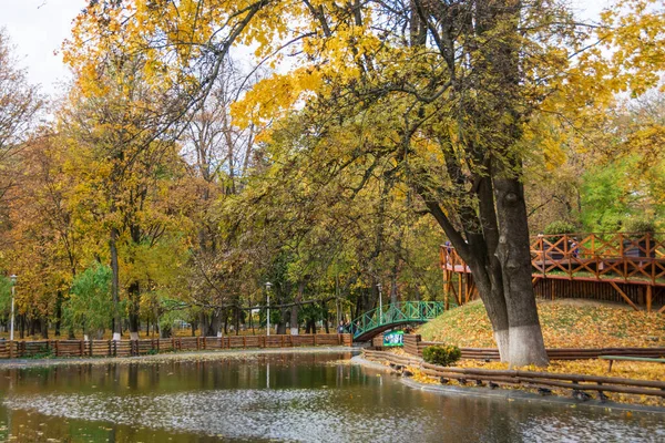 Lake Roman Park Autumn Surrounded Colored Trees Romania — Stockfoto