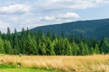 Dağlar, Romanya 'nın Borsec kentindeki periler bahçesinin girişinden görüldüğü gibi görünüyor