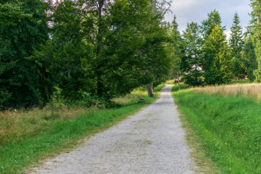 Periler Bahçesi, Borsec, Romanya 'dan bir yol