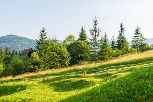 Eine Tannenwald Landschaft Aus Dem Feengarten Borsec Rumänien — Stockfoto