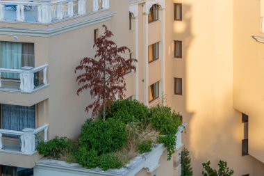 Karadeniz 'deki Bulgar binaları gün batımında aydınlandı