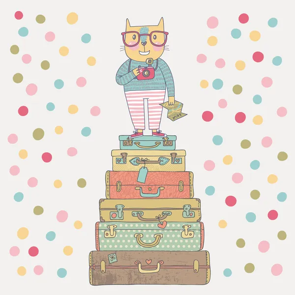 Concept hipster cat with camera in suitcases — Stock Vector