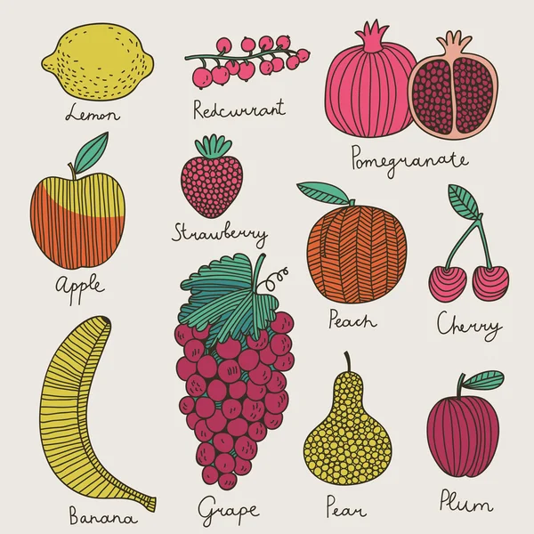 Jasne owoce i owoce jagodowe w wektor. — Wektor stockowy