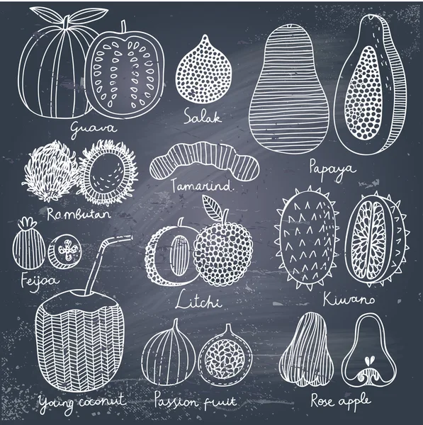 Frutas tropicais no vetor . — Vetor de Stock