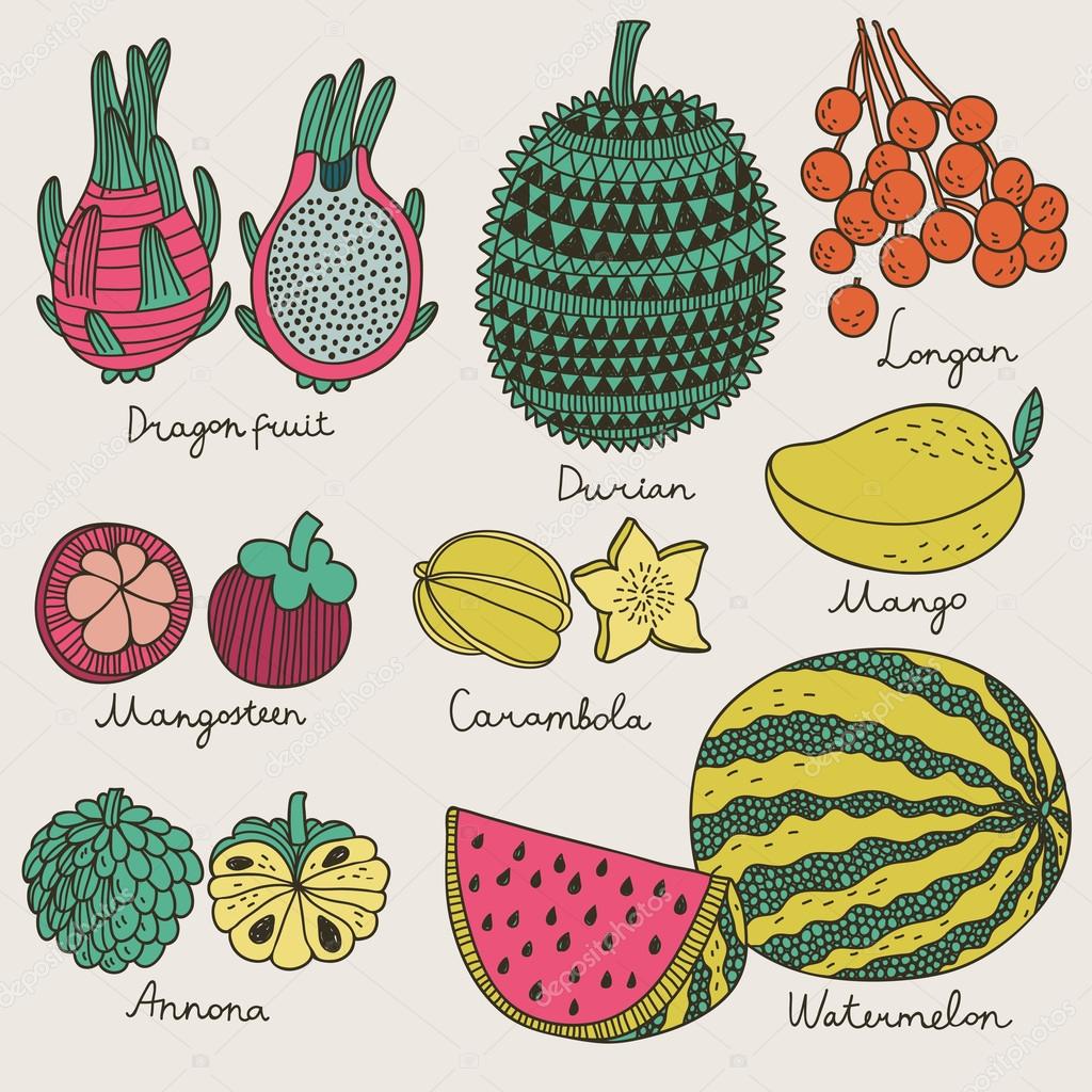 Dibujo animado del mango de la fruta de la ilustración imágenes de stock de  arte vectorial | Depositphotos