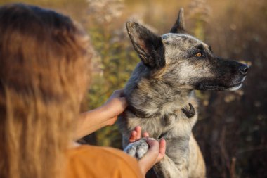 Sonbahar sarısı bir manzaranın arka planında köpeği okşayan bir kız..