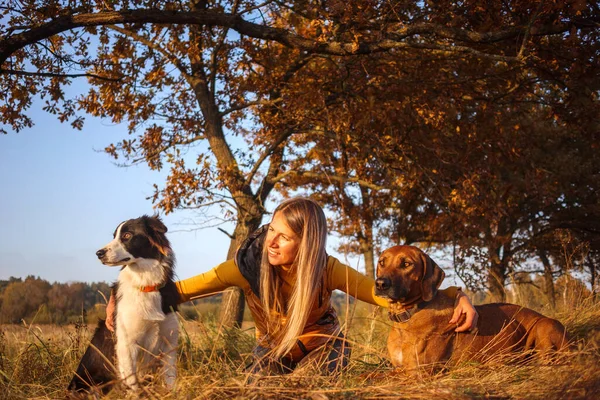 Uma Menina Dois Cães Border Collie Rhodesian Ridgeback Sentados Grama — Fotografia de Stock