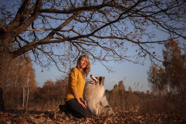 Blue Merle Rough Collie 'nin portresi ve günbatımında bir sonbahar parkında meşe dalları altında bir kız..