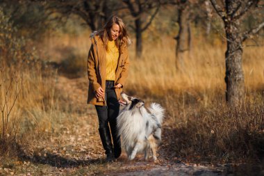 Kaba mavi mermer mermer bir çoban köpeği ve bir sonbahar parkında yan yana yürüyen bir kız..