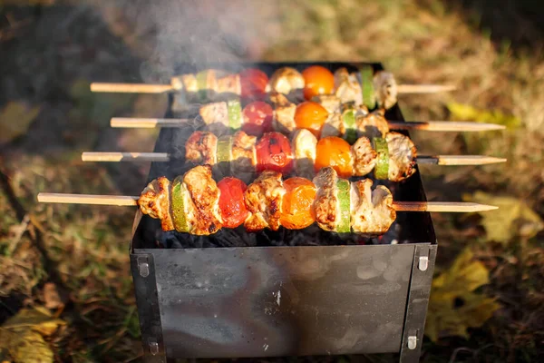 Barbecue Avec Bâtonnets Sur Lesquels Sont Plantés Viande Des Légumes — Photo