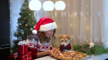 Masada şapkalı bir kız kırmızı gömlekli bir köpeğe pizza ikram ediyor. Noel 'den önce mutfakta akşam