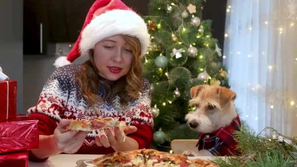 一位戴着节日礼帽的女孩用披萨招待一只穿着红衫的狗 圣诞节前晚上在厨房里 — 图库视频影像