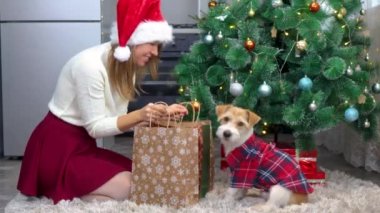 Kırmızı şapkalı bir kız, Noel ağacının altında kırmızı gömlekli bir köpeğe hediye paketleri veriyor.