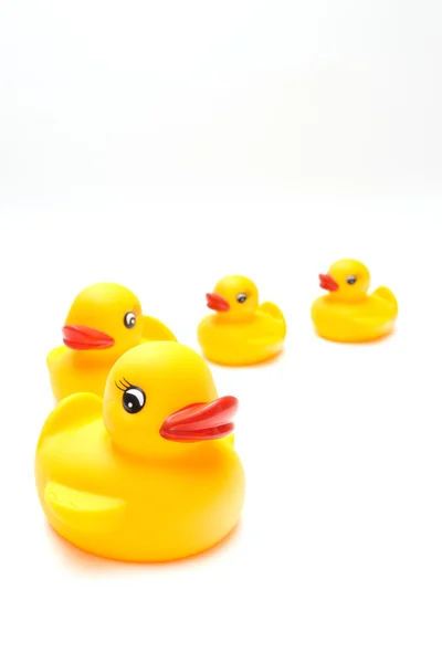 Yellow rubber duck — Stock Photo, Image