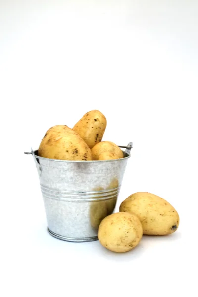 Картошка в ведре — стоковое фото